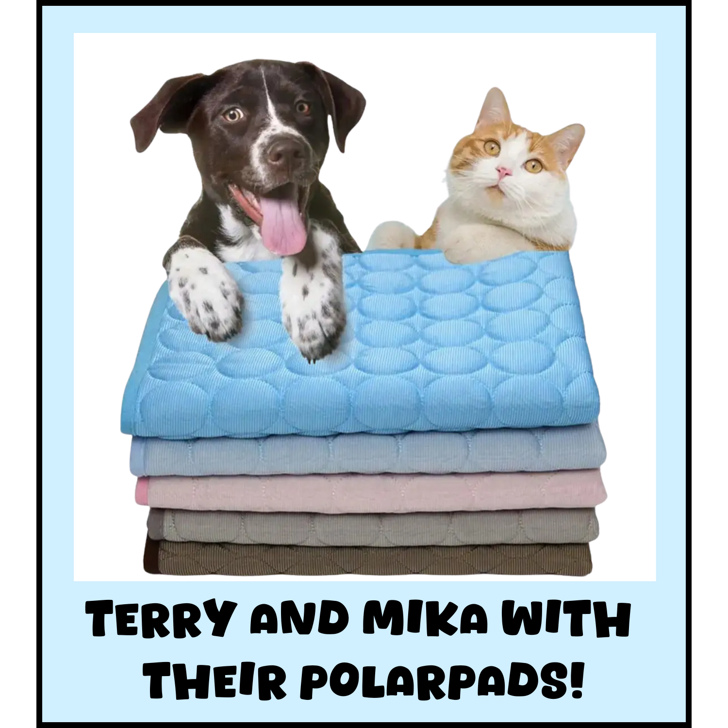 PolarPad™ - Pet Cooling Summer Mat ☀️❄️