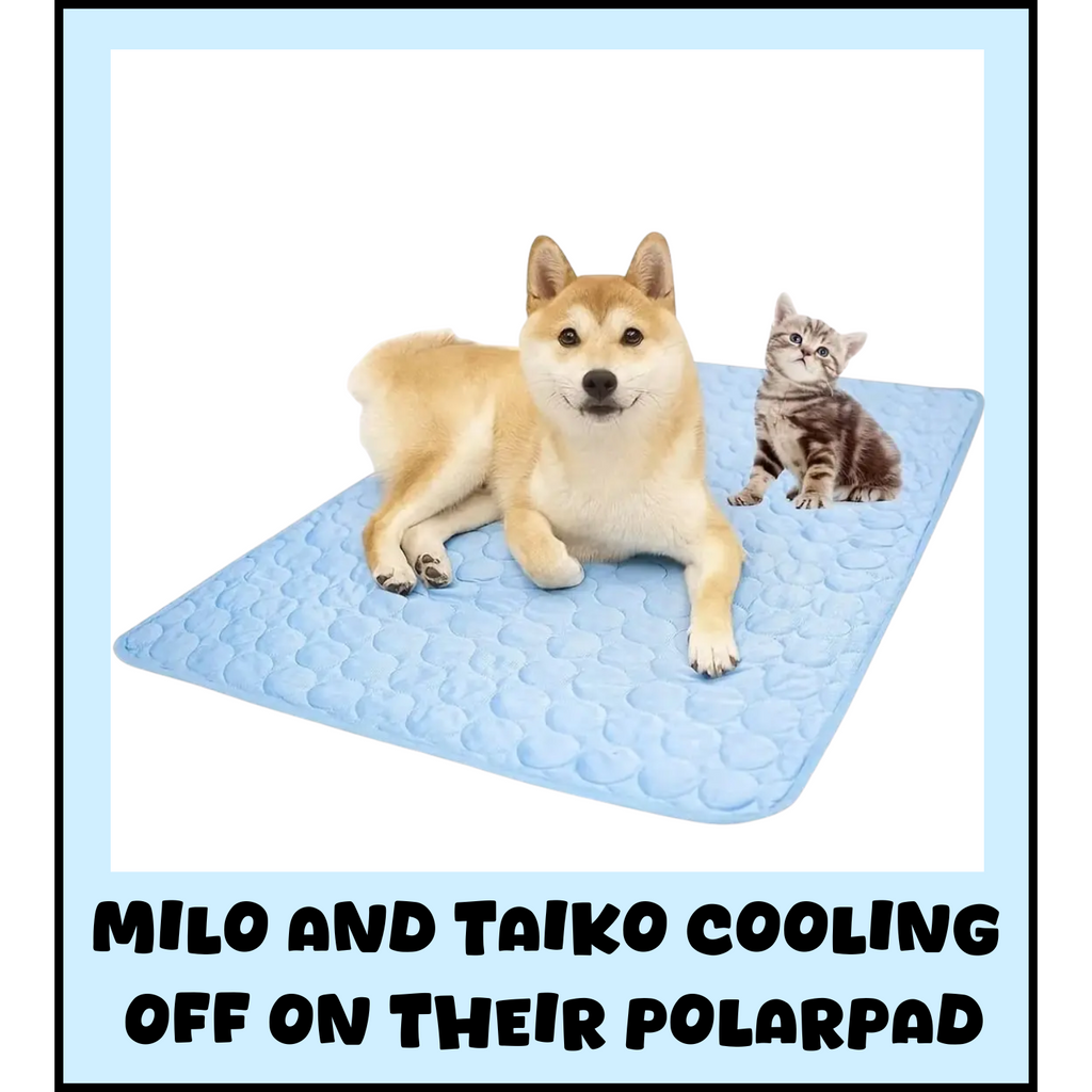 PolarPad™ - Pet Cooling Summer Mat ☀️❄️