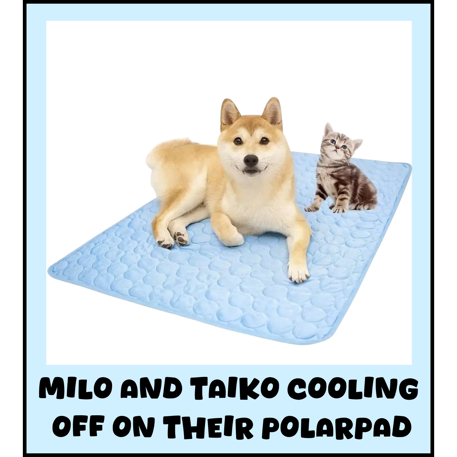 PolarPad™ - Pet Cooling Summer Mat ☀️❄️