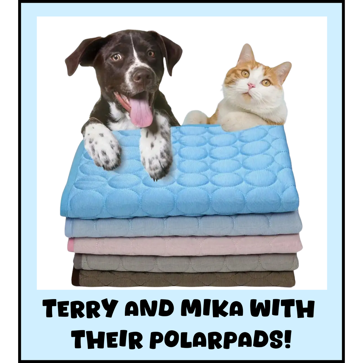 PolarPad™ - Pet Cooling Summer Mat ☀️❄️