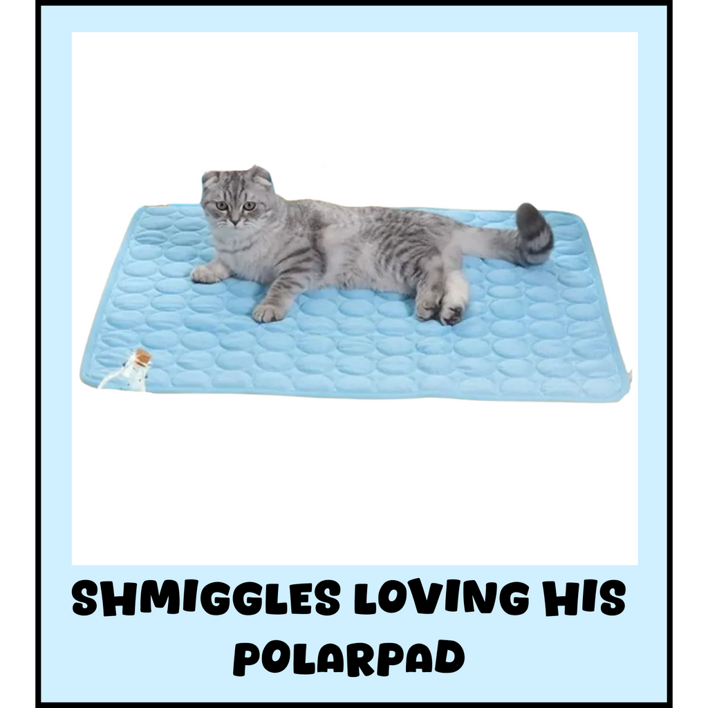 PolarPad™ - Pet Cooling Summer Mat ☀️❄️