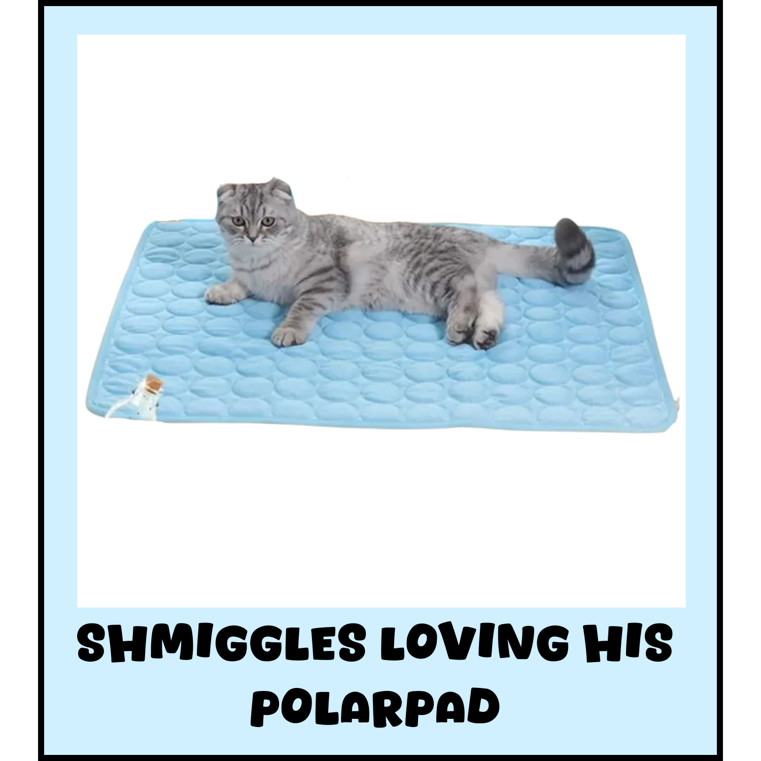 PolarPad™ - Pet Cooling Summer Mat ☀️❄️